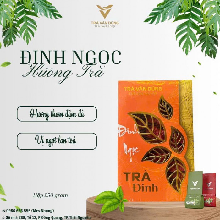 Trà Đinh Ngọc Trà